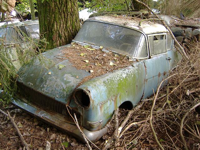 Autofriedhof - 094.JPG - Historischer Autofriedhof,    Gürbetal (CH)